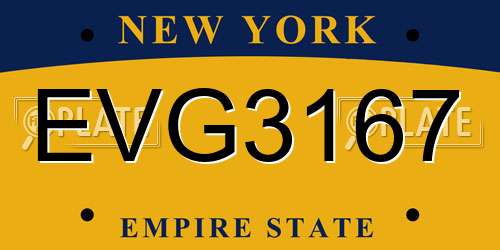 EVG3167 New York License Plate