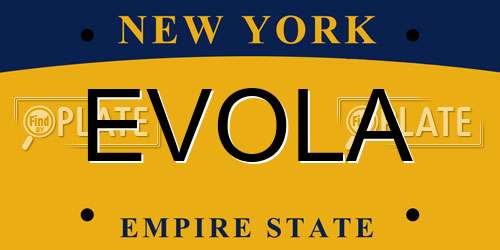 EVOLA New York License Plate