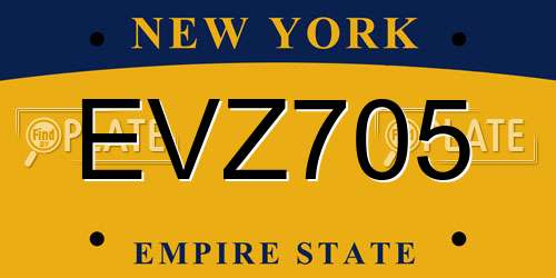 EVZ705 New York License Plate