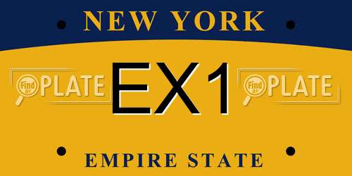 EX1 New York License Plate