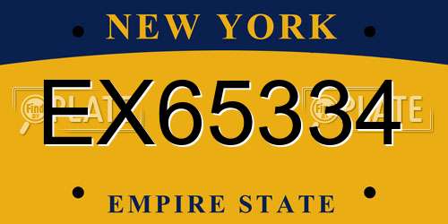 EX65334 New York License Plate