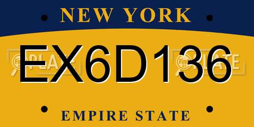 EX6D136 New York License Plate