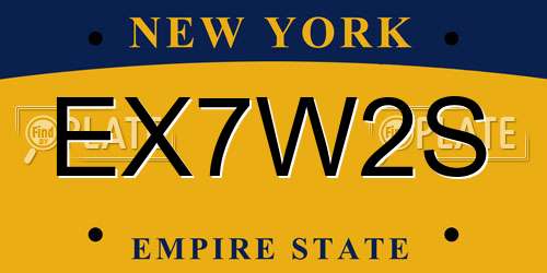 EX7W2S New York License Plate