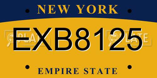 EXB8125 New York License Plate