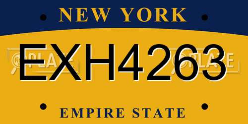 EXH4263 New York License Plate
