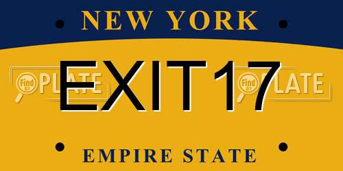 EXIT17 New York License Plate