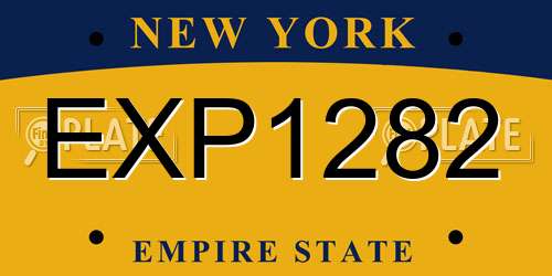 EXP1282 New York License Plate