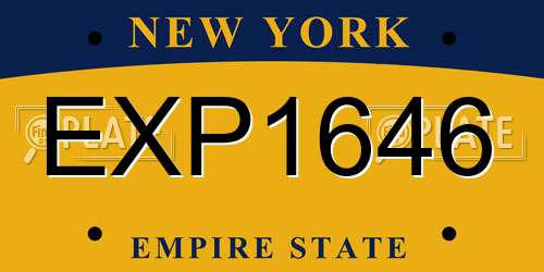 EXP1646 New York License Plate