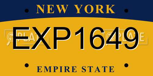 EXP1649 New York License Plate