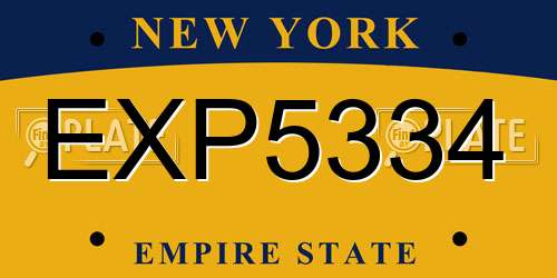 EXP5334 New York License Plate