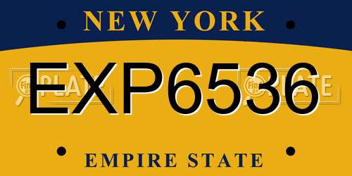 EXP6536 New York License Plate