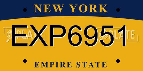 EXP6951 New York License Plate