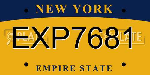 EXP7681 New York License Plate