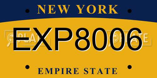 EXP8006 New York License Plate