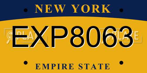 EXP8063 New York License Plate