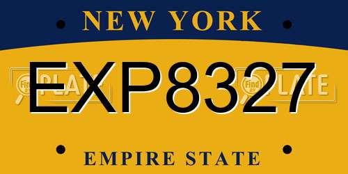 EXP8327 New York License Plate