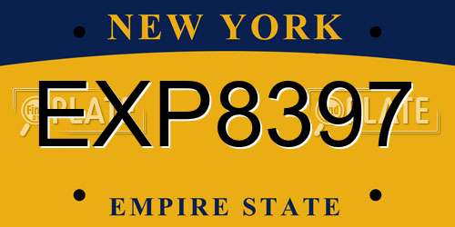 EXP8397 New York License Plate