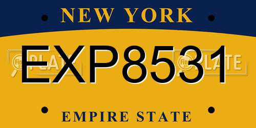 EXP8531 New York License Plate