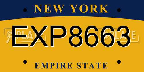 EXP8663 New York License Plate