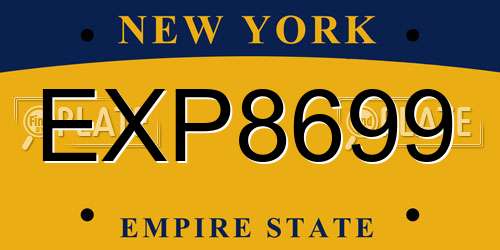 EXP8699 New York License Plate