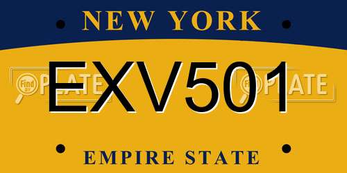 EXV501 New York License Plate