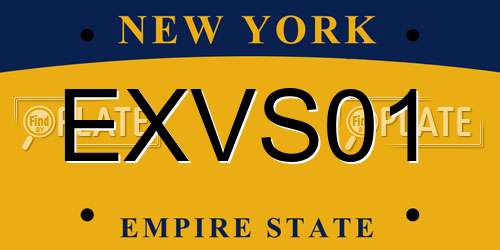 EXVS01 New York License Plate