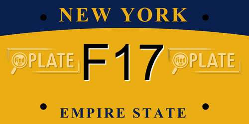 F17 New York License Plate