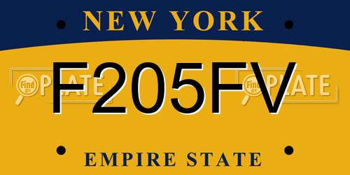 F205FV New York License Plate
