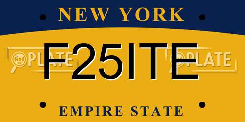 F25ITE New York License Plate