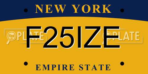 F25IZE New York License Plate