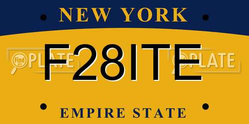F28ITE New York License Plate