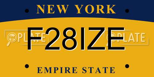 F28IZE New York License Plate