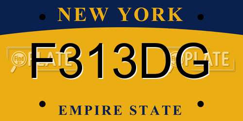 F313DG New York License Plate