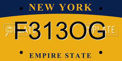 F313OG New York License Plate