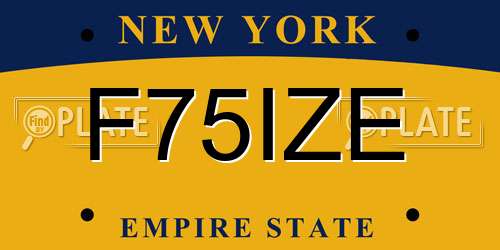 F75IZE New York License Plate