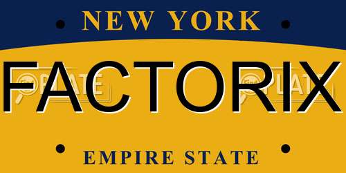 FACTORIX New York License Plate