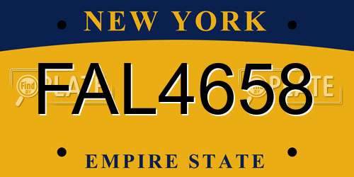 FAL4658 New York License Plate