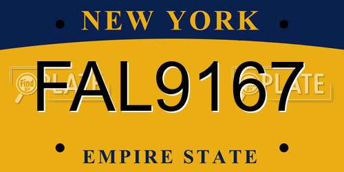 FAL9167 New York License Plate