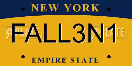 FALL3N1 New York License Plate