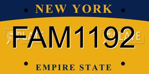 FAM1192 New York License Plate