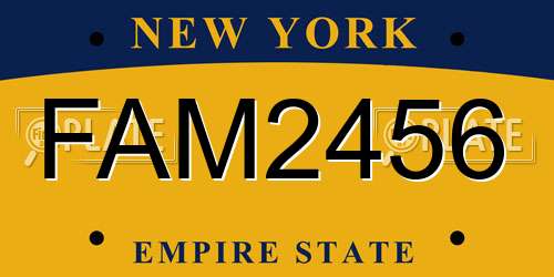 FAM2456 New York License Plate