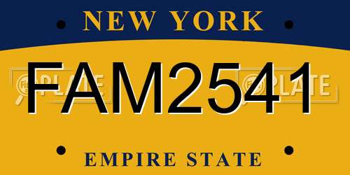 FAM2541 New York License Plate