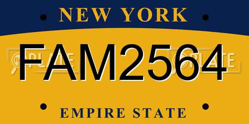FAM2564 New York License Plate