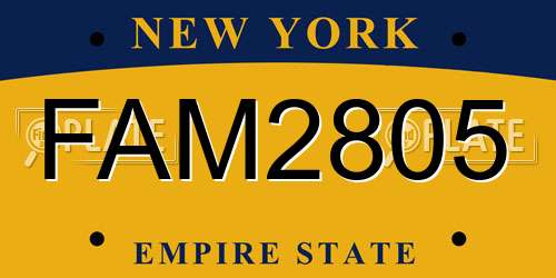 FAM2805 New York License Plate