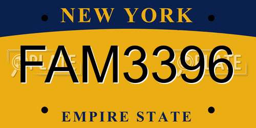FAM3396 New York License Plate