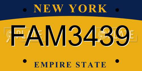 FAM3439 New York License Plate