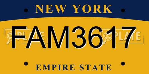 FAM3617 New York License Plate