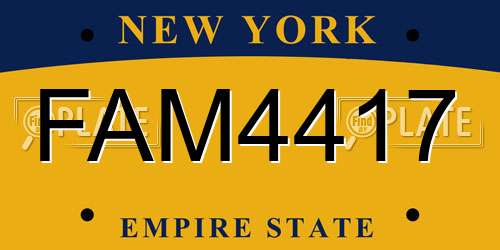 FAM4417 New York License Plate