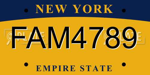 FAM4789 New York License Plate