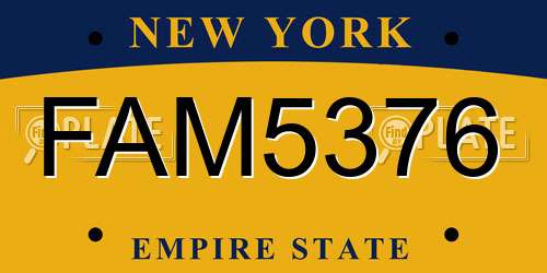 FAM5376 New York License Plate